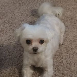 Meet your Posher, Mamie